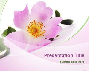 Template seule fleur PowerPoint