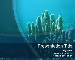 Scuba diving PowerPoint Template