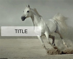 White Running Horse Powerpoint Template