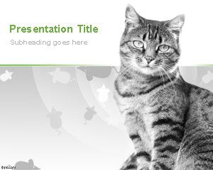 Plantilla de PowerPoint gatos domésticos