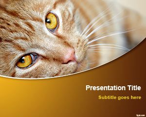 Cat Powerpoint-Vorlage