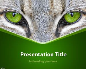 Plantilla de los ojos de gato PowerPoint