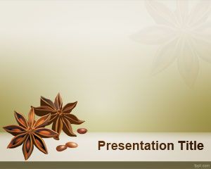 Plantilla del anís de estrella de PowerPoint