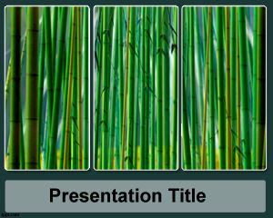 Şeker Kamışı PowerPoint Şablon