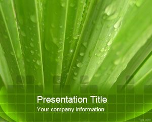 Шаблон Aloe Vera PowerPoint