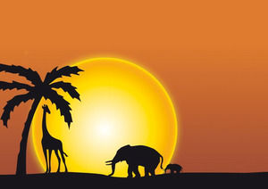 sunset Afrika