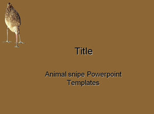 Animal бекас Powerpoint шаблоны