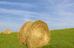 Bale of Straw powerpoint template