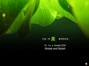 아름다운 녹색 자연 PPT 배경 그림