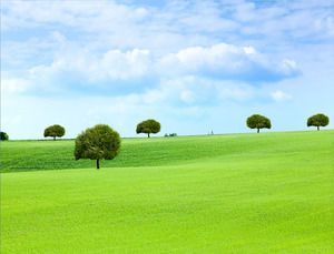 Langit biru rumput rumput putih gambar latar belakang PPT