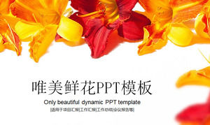 Яркий цветочный фон красивый шаблон PPT бесплатно скачать