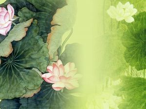 Klasik lotus slayt arka plan görüntüsü