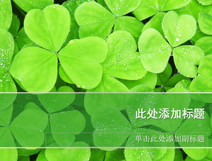 imagem Clover HD modelo de fundo PPT natureza