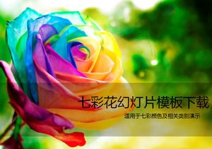Colorful rose beauty ppt template