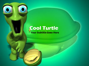 Cool turtles animal