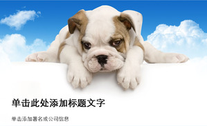 Cute dog background animal PPT template 