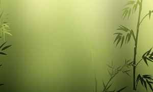 Nel profondo della foresta di bambù le foglie cadono dinamicamente