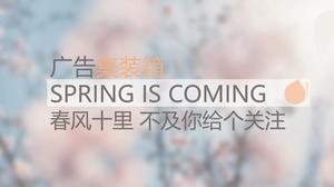 Modelo de PPT de flor de pêssego primavera elegante e bonito