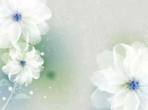 Image d'arrière-plan de la fleur élégante et délicate PPT
