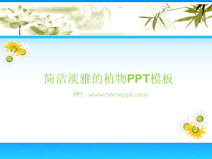 エレガントな菊の背景植物PPTテンプレートのダウンロード