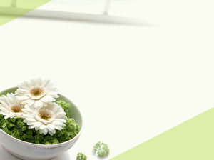 Gambar latar belakang slide daisy elegan
