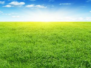 Exquisite Prairie Powerpoint Background Image Powerpoint Templates Free Download