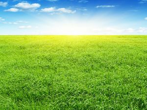 Exquisite prairie PowerPoint background image