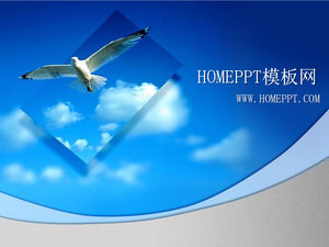 Flying seagull background PPT template download