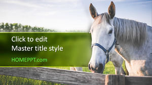 Plantilla gratuita de PowerPoint caballo