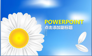 Fresh and elegant wild chrysanthemum background PPT template