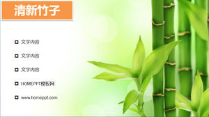清新淺綠色的竹PPT背景圖片下載