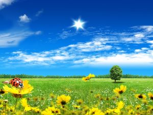 Fresh natural scenery PPT background picture