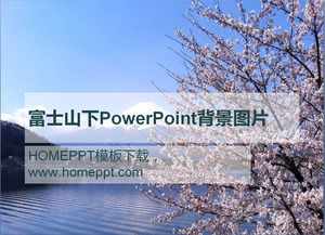 富士山樱花PowerPoint中的背景图片