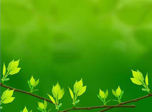 Green Fresh Leaves PowerPoint Background Image Download