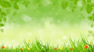 緑の芝生緑の芝生PPTの背景画像