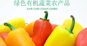 Grüne organische Gemüse-PPT-Schablone