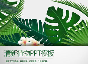 绿色宽叶植物背景PPT模板免费下载