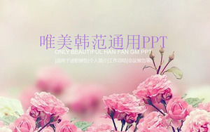 韩国ppt模板有桃红色玫瑰花背景powerpoint模板免费下载
