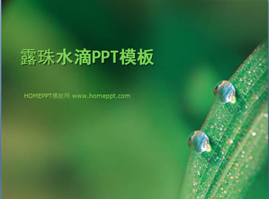 Leaves on the dew on the background plant Slideshow template download