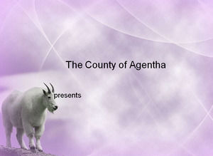 Long-haired goats - animals PPT template