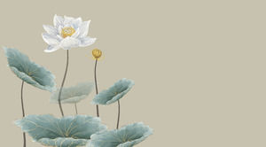 연꽃 같은 - 로터스 테마 미니멀 한 순수한 분위기 중국 스타일의 PPT 템플릿
