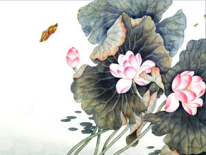 Lotus PPT obraz tła Daquan