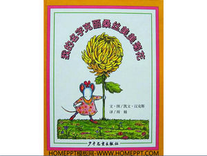 „Mein Name ist die Vereinigten Staaten und die Vereinigten Staaten Chrysanthemum Li San Si“ Bilderbuch Geschichte PPT