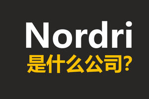 Nordri не имеет рекламного шаблона ppt для рекламы