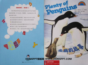 "Penguin 's Story"