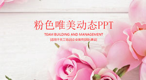粉红色的美丽玫瑰背景PPT模板，植物PPT模板下载