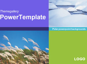 Polar powerpoint backgrounds