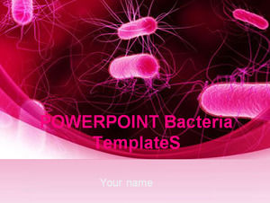 bactérias Powerpoint