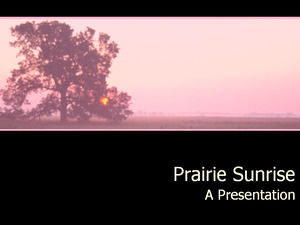 Prairie Sunrise Czarny