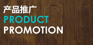 Product promotion PPT template